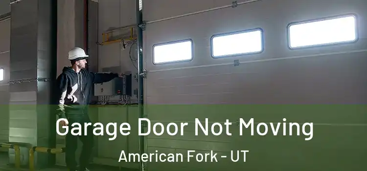 Garage Door Not Moving American Fork - UT