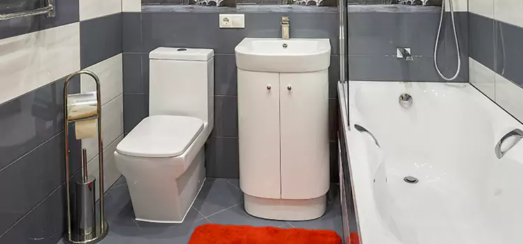 Hansgrohe Shaving Mirror American Fork